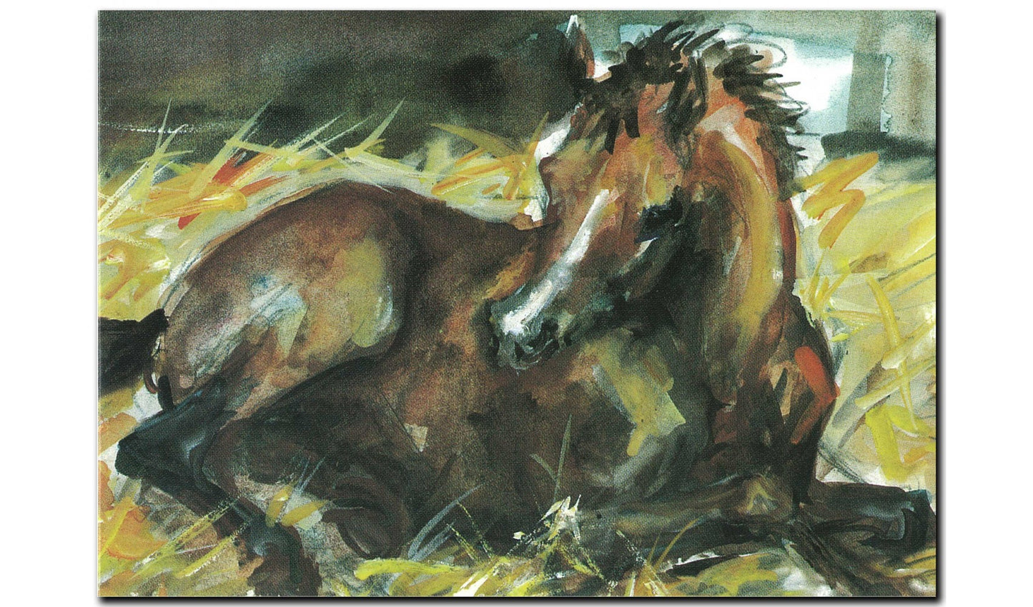 Baby Foal