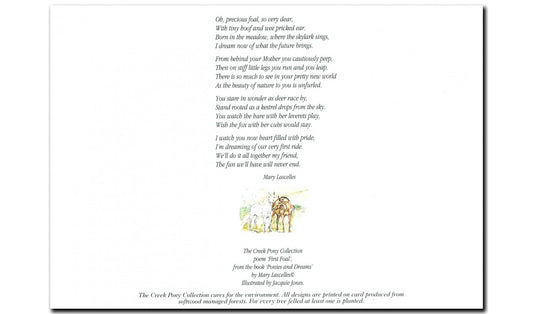 Boxing Hares and Foals