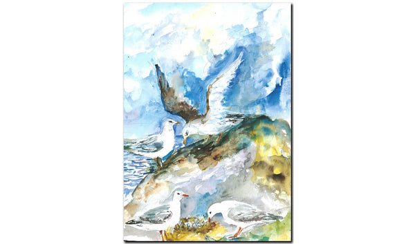 Creek Seagulls