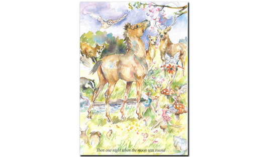 Dawny and The Fairies